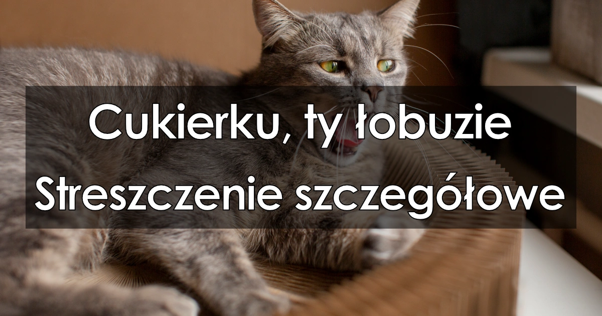 Streszczenie Lektury Cukierku Ty łobuzie