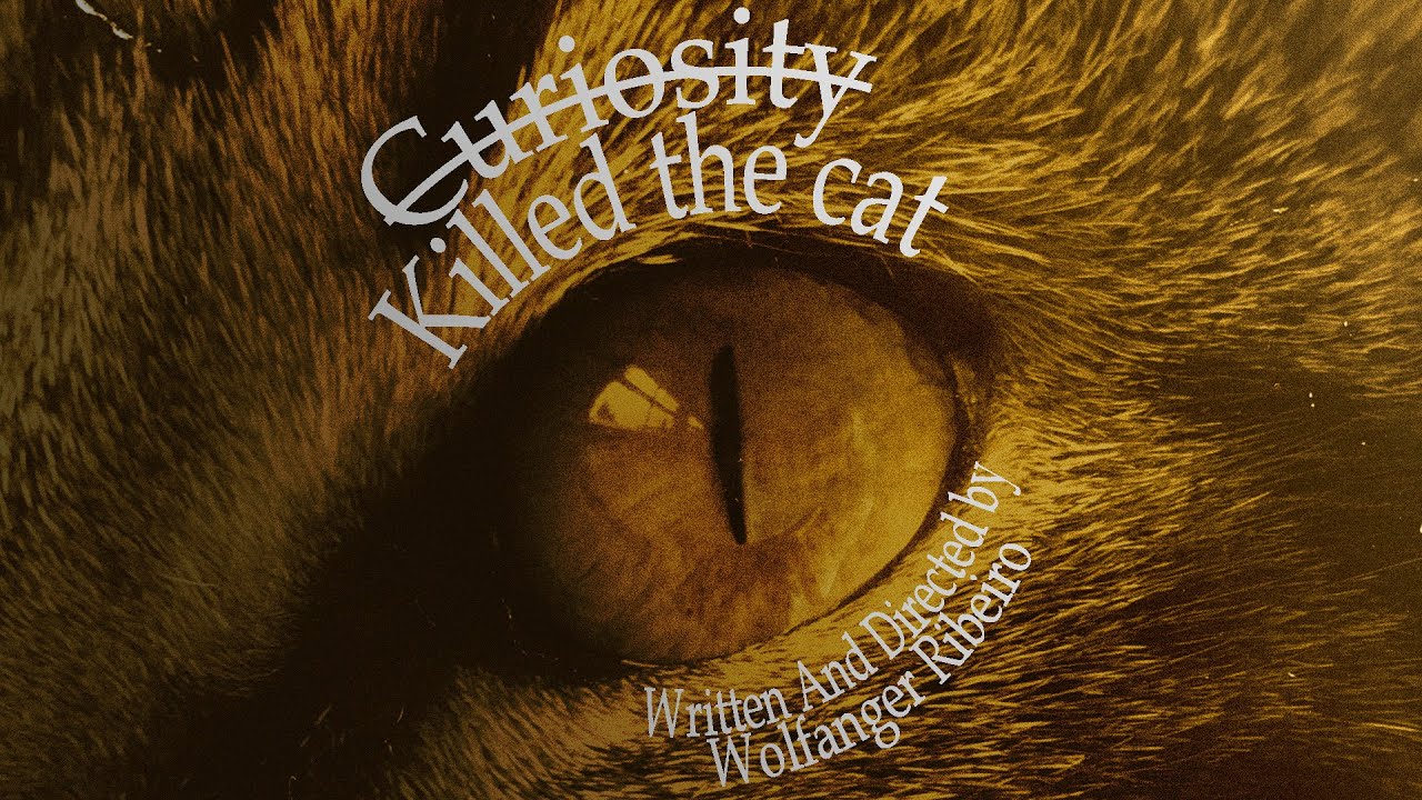 Curiosity Killed The Cat (2020) | A Short Horror Film - YouTube Curiosity Killed The Cat Po Polsku