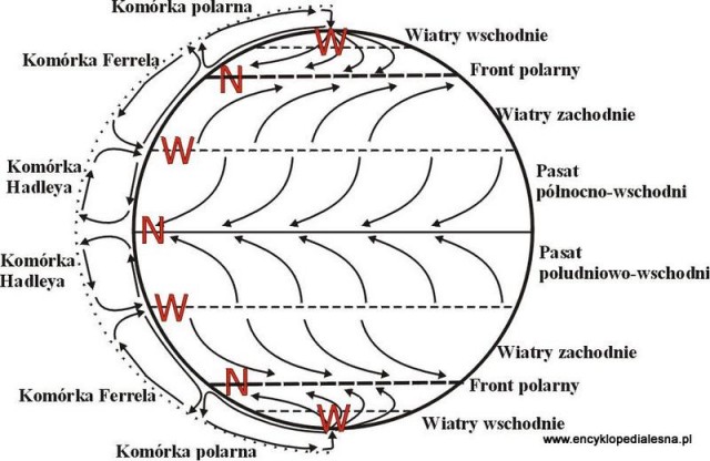 Cyrkulacja atmosferyczna w strefie międzyzwrotnikowej | Geografia24.pl Cyrkulacja Powietrza W Strefie Miedzyzwrotnikowej