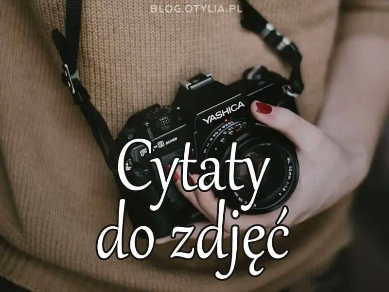 Cytaty do zdjęć ⋆ Na FB lub na IG ⋆ Krótkie sentencje i aforyzmy ⋆ 2025 Cytaty Do Bio Na Ig
