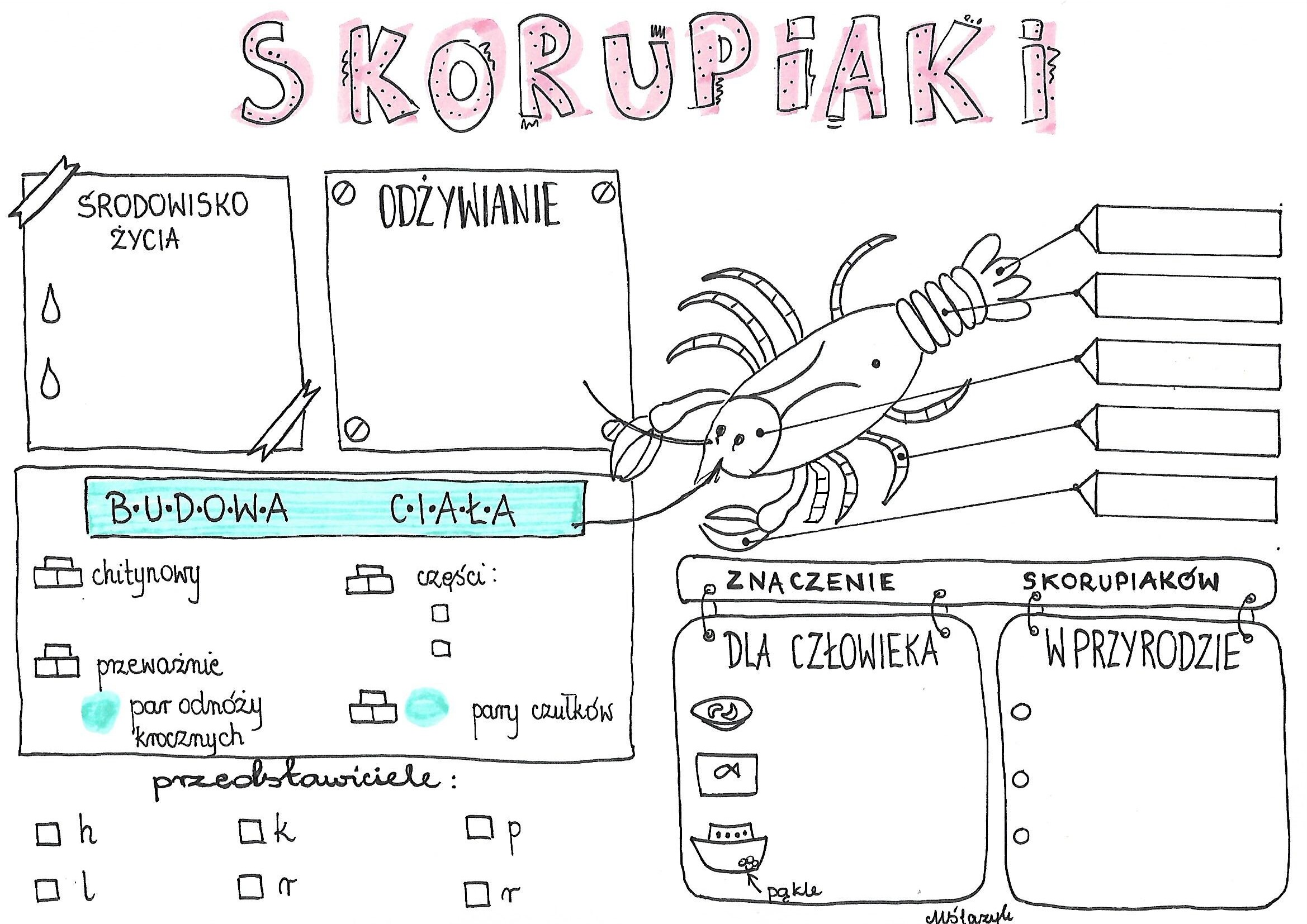 Cz%c4%99%c5%9bci Mowy Klasa 3 Karty Pracy — ceipnievestoledo.org Części Mowy Sprawdzian Z Odpowiedziami