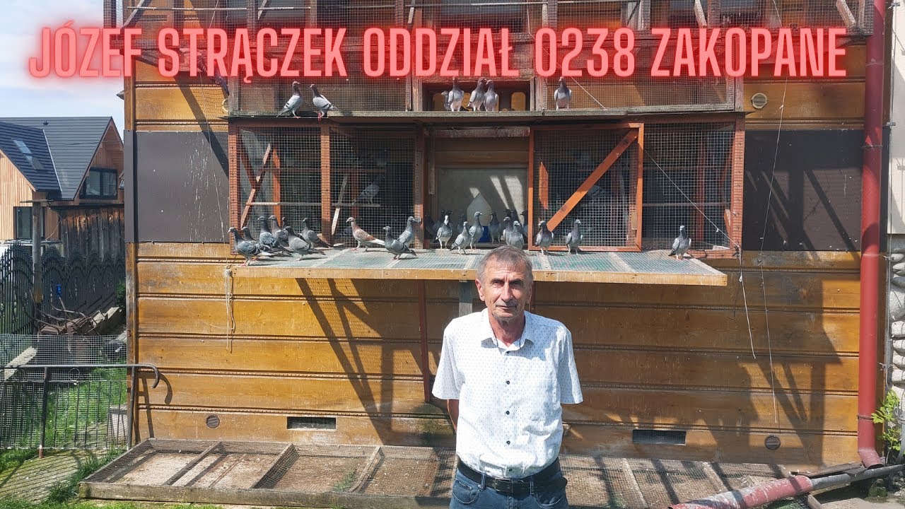Czołowa Hodowla gołębi pocztowych | Józef Strączek | Oddział 0238 Ryba Hodowlana Do Rozrodu Hasło Krzyżówkowe
