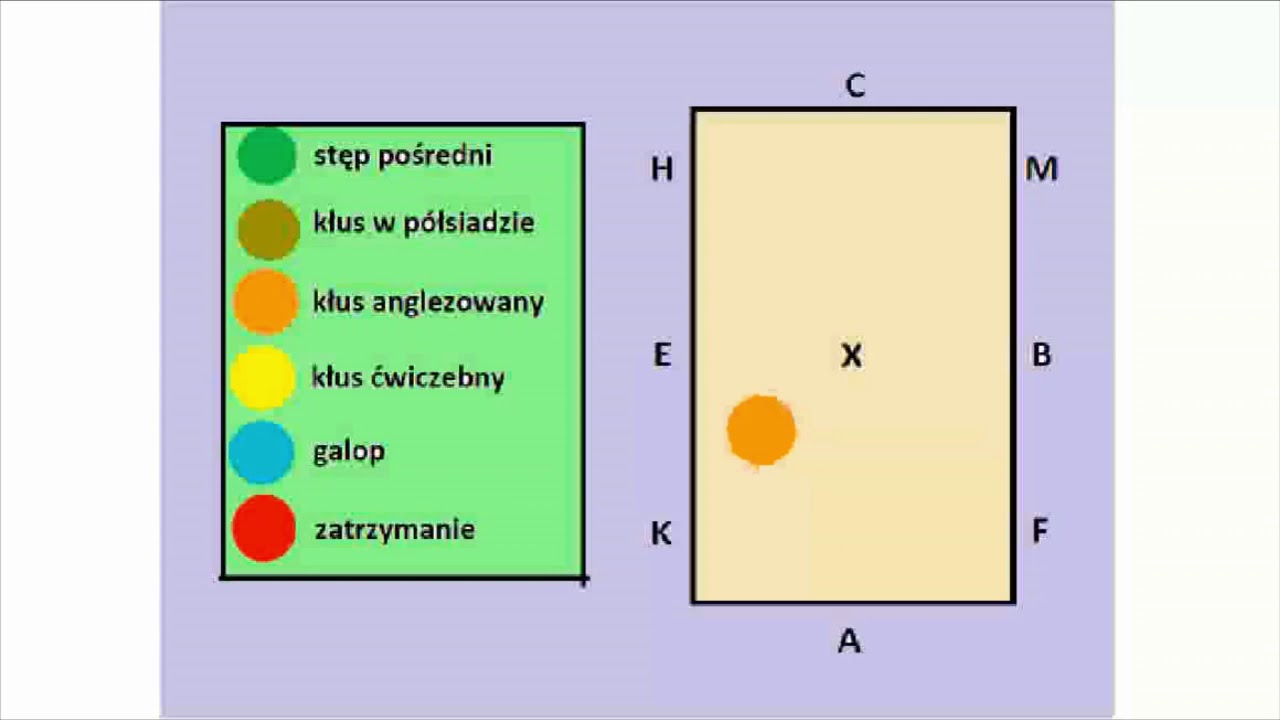 Czworobok Na Brązową Odznakę Jeździecką - Margaret Wiegel Czworobok Na Brazowa Odznake Jezdziecka