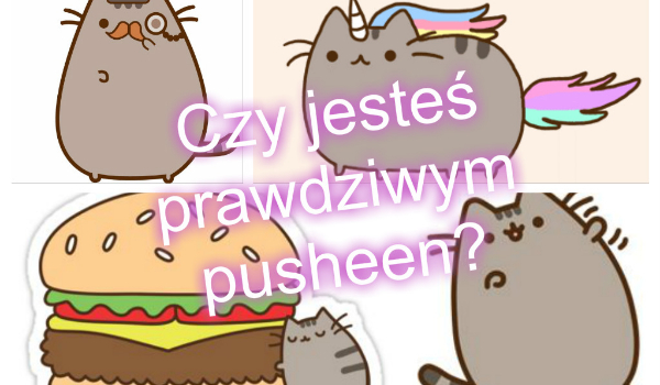 Czy jesteś prawdziwym PUSHEEN? | sameQuizy Czy Pusheen Girl Jest Adoptowana Zapytaj
