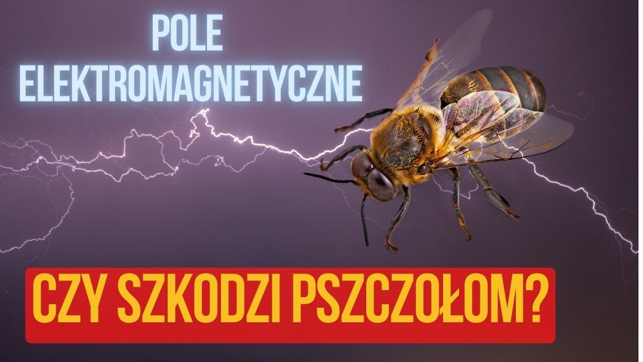 Czy Fale Elektromagnetyczne Są Szkodliwe