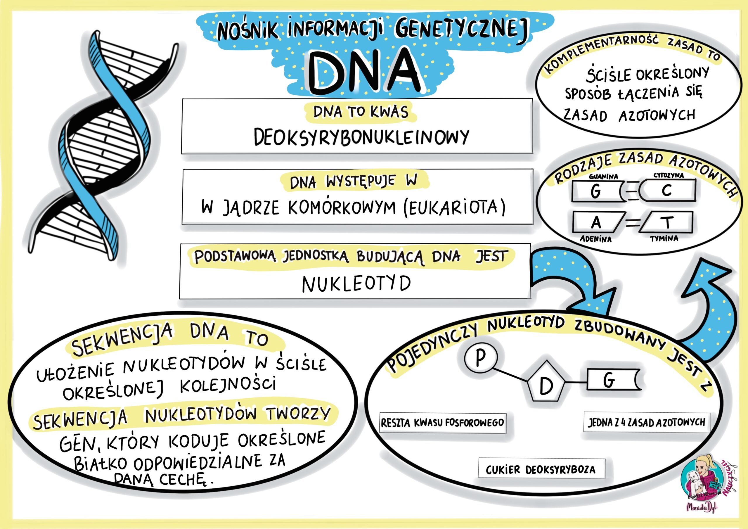 Czym Jest Genetyka Biologia Klasa 8 Genetyka Nowa Era