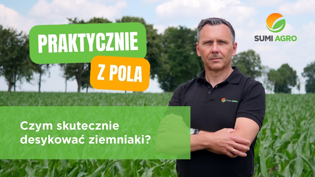 Czym Pryskać Ziemniaki Od Chwastów