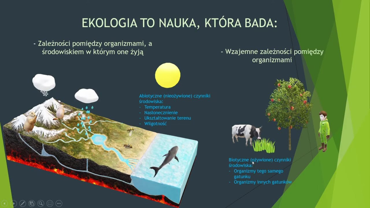 Europejska Sieć Ekologiczna Natura 2000 W Polsce