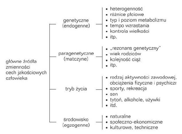 Czynniki rozwoju człowieka | Szkoła Pływania Czynniki Potrzebne Do Pełnego Rozwoju Człowieka