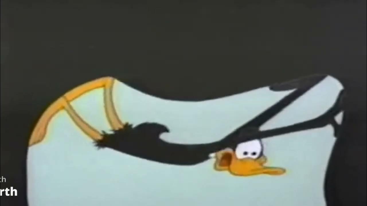 Daffy Duck Loses His Shit - YouTube Duck Loses Ducklings Down Drain