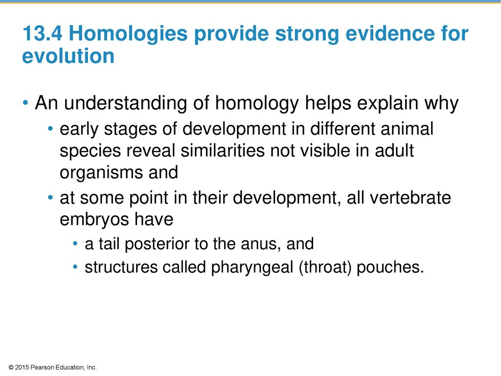 Darwin’s Theory of Evolution - ppt download Discuss How Pharyngeal Pouches Provide Evidence For Biological Evolution