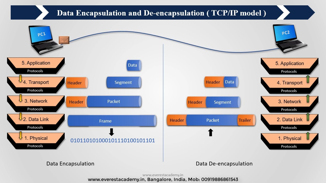 Data Encapsulation and De-encapsulation ( TCP/IP model ) Animation Which Statement Accurately Describes A Tcp Ip Encapsulation Process
