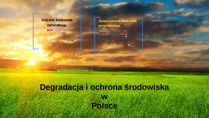 Usługi W Polsce Degradacja I Ochrona środowiska W Polsce Sprawdzian