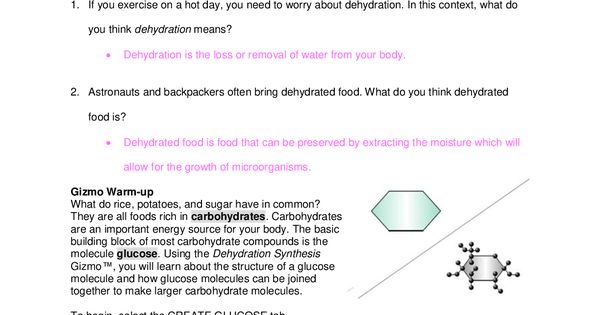Dehydration Synthesis And Hydrolysis Worksheet - Math Printing Sheets Student Exploration Dehydration Synthesis Answer Key