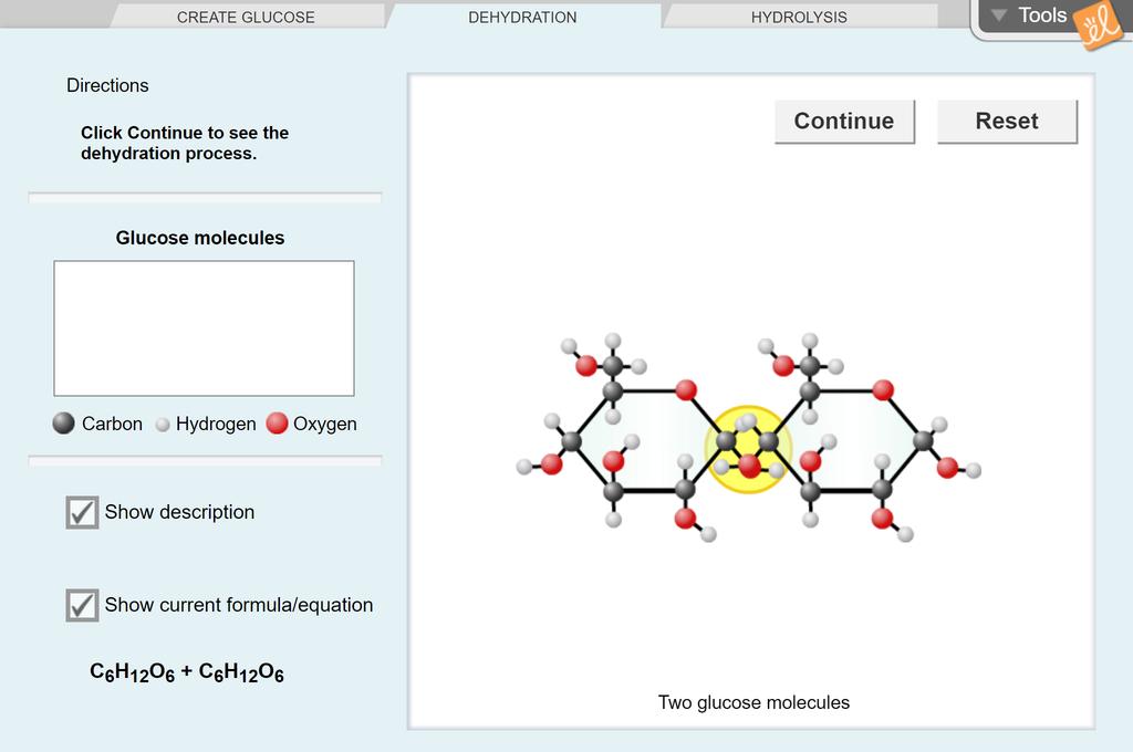 Dehydration Synthesis Gizmo Answer Key Pdf