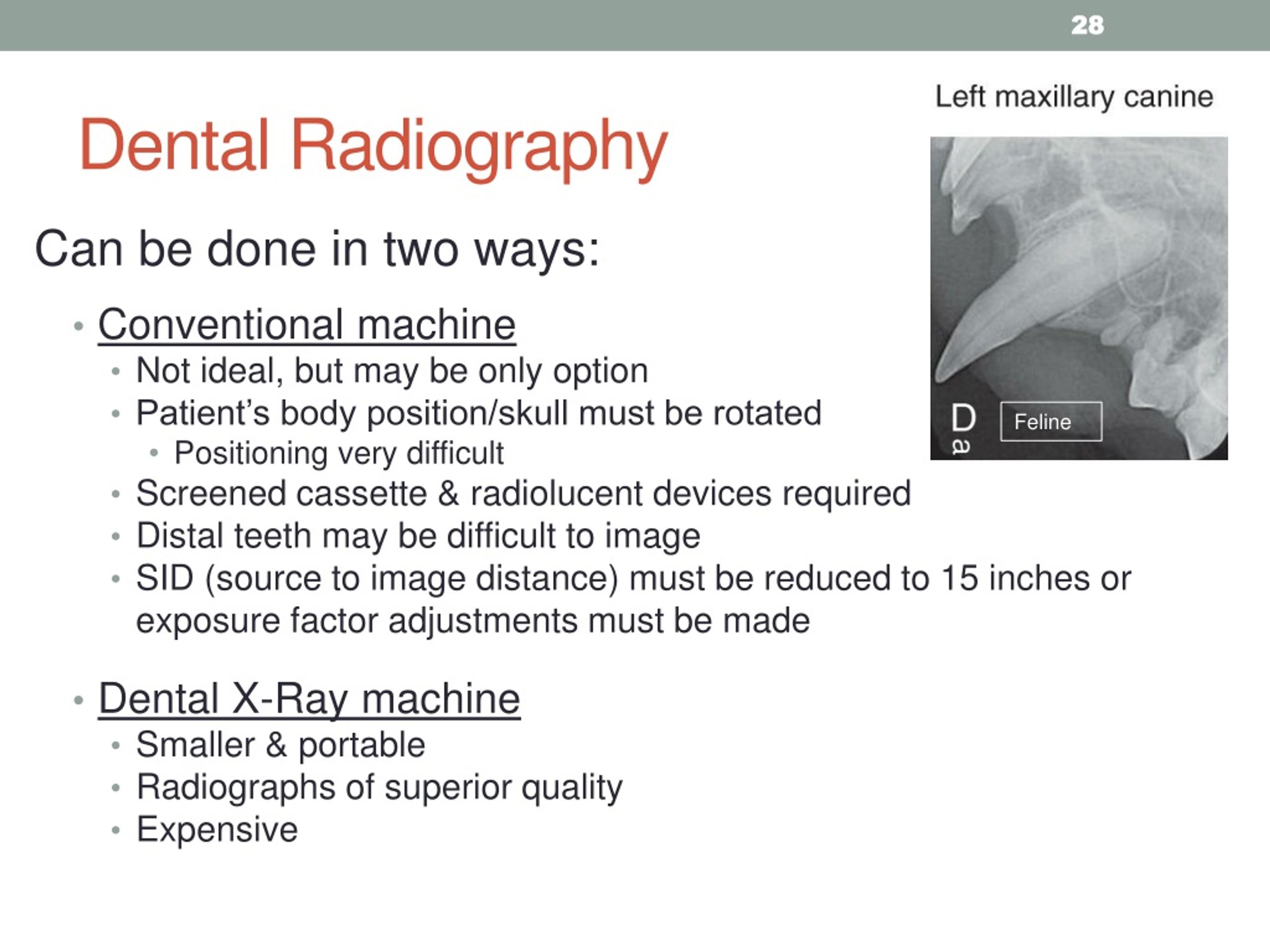Dental Radiography Chapter 10 Quiz Questions at Helen Hickman blog Dental Radiography Chapter 19 Quiz Questions