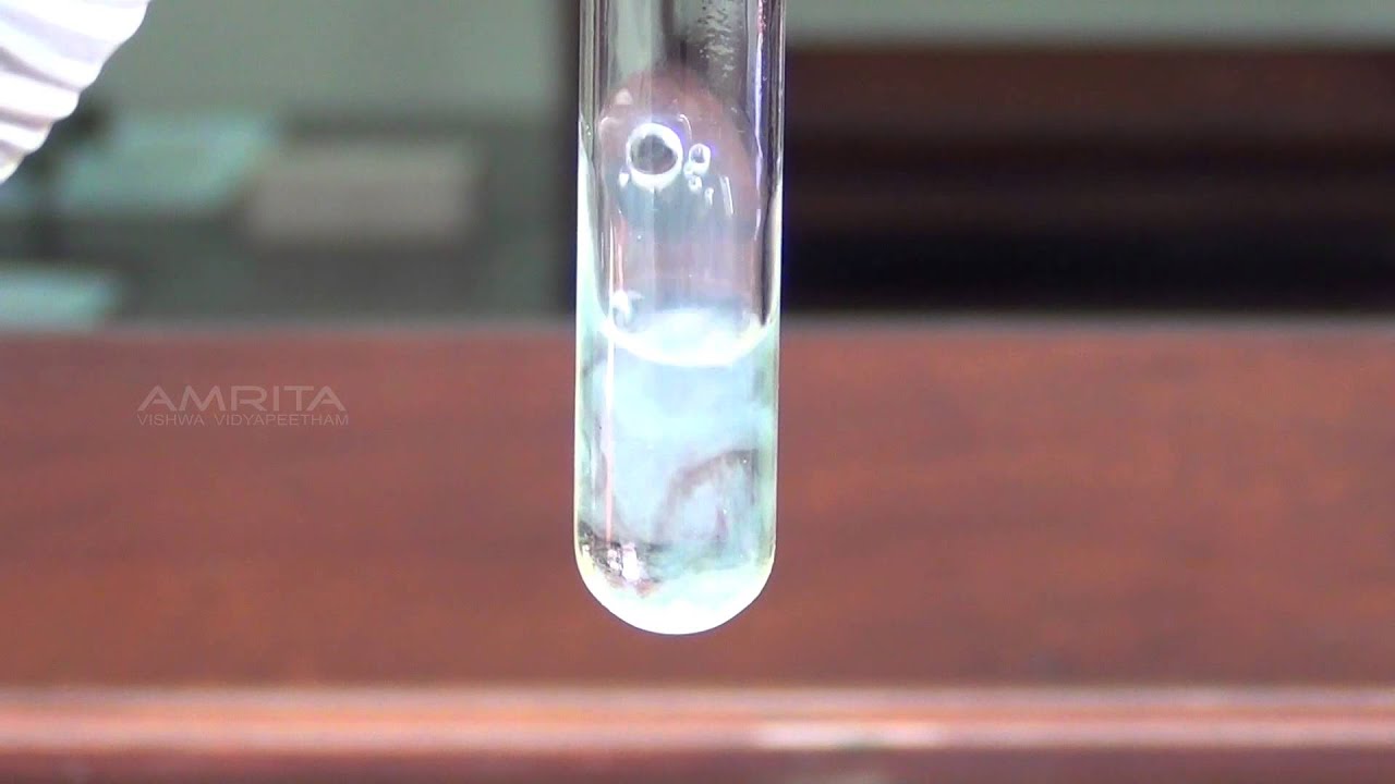 Detection of Albumin in Urine - MeitY OLabs - YouTube What Is Normal Albumin In Urine