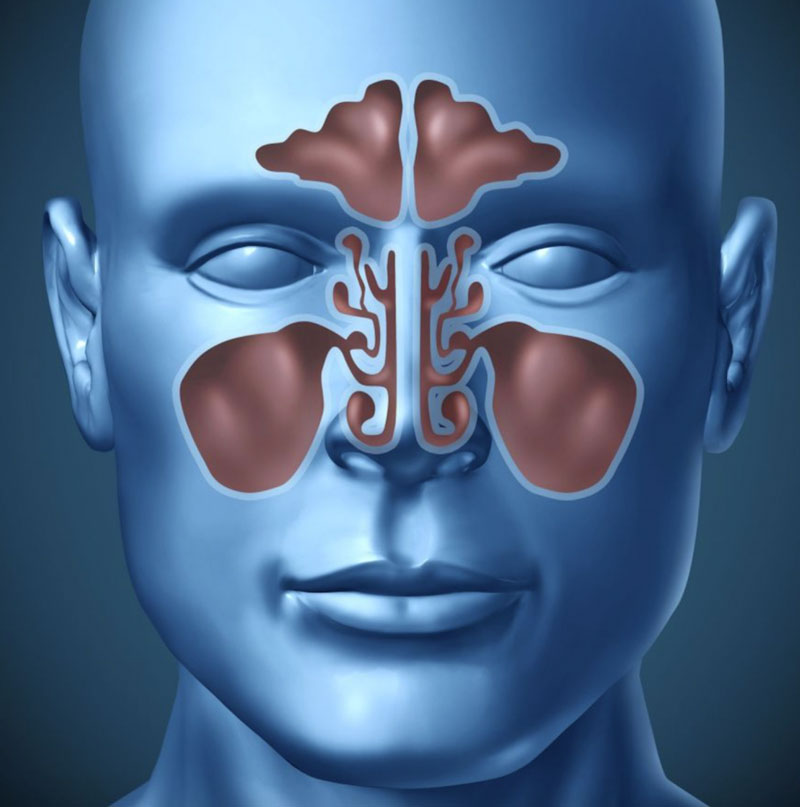 Diagram Of The Sinus System Sinus Cosinus Tangens Cotangens Definicje