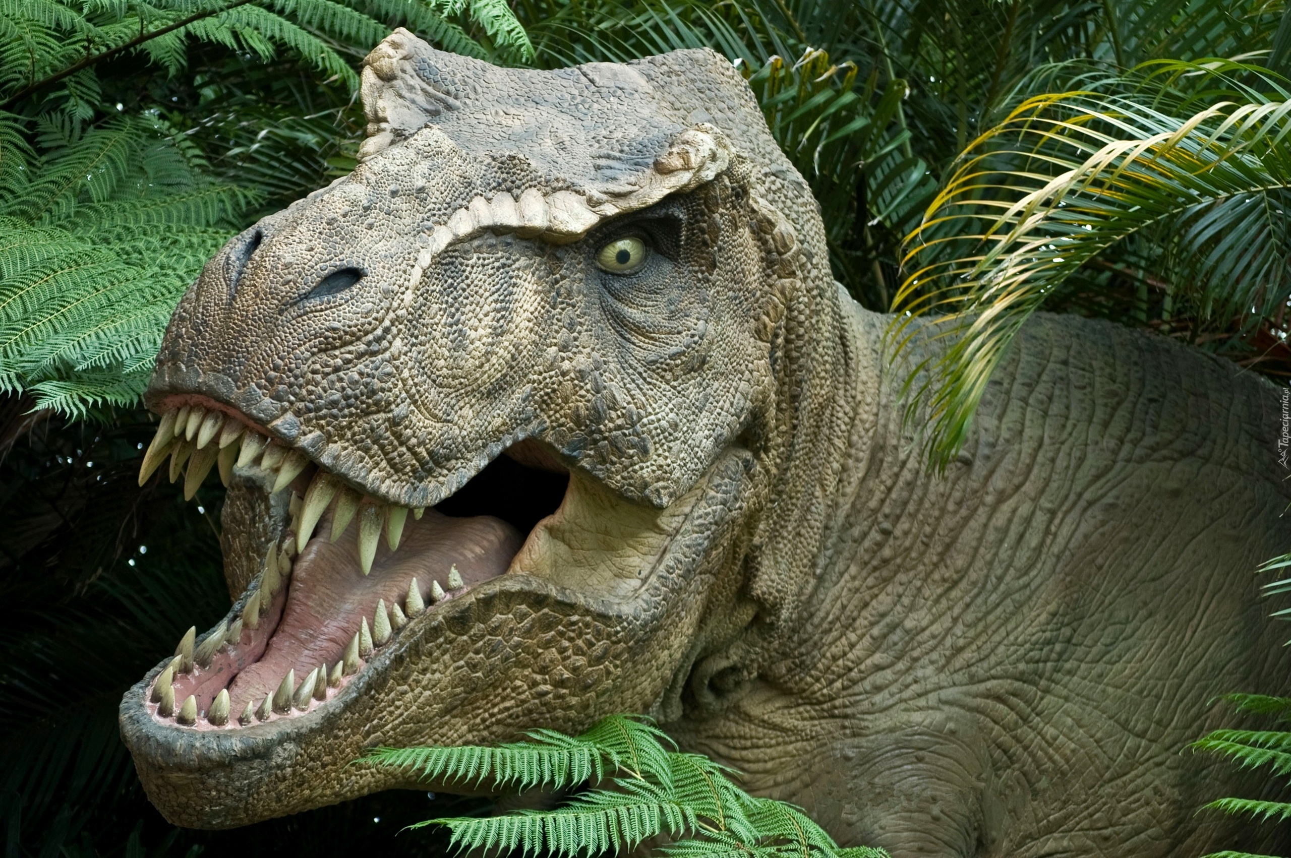 Dinozaurów Nie Ma Z Nami Dawno Już Mp3 Chomikuj