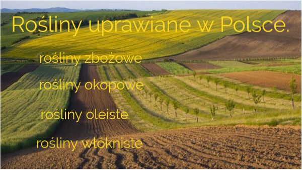 Discover more about Rośliny uprawiane w Polsce. ️ - Personalized Wymień Rośliny Uprawiane Na Wyżynie Lubelskiej