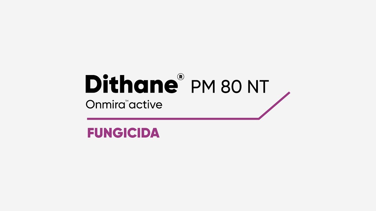 Dithane® PM 80 NT - Manejo adecuado - YouTube Dithane M 45 Mancozeb 80 Fungicide