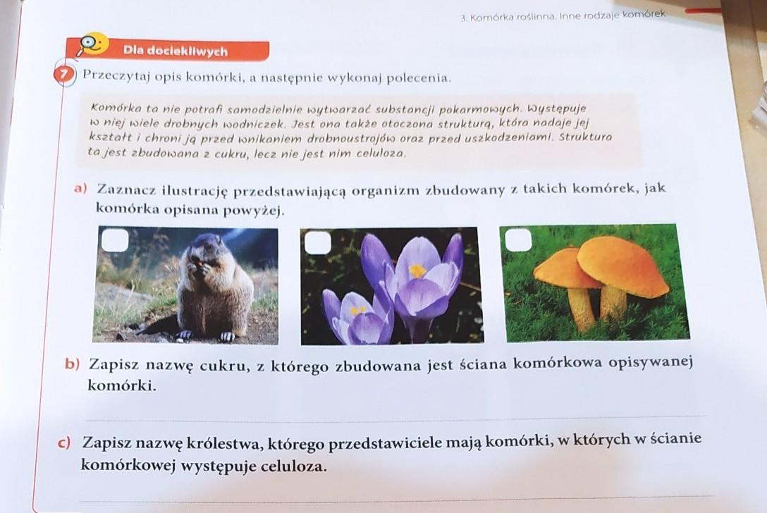 Dla dociekliwych Przeczytaj opis komórki, a następnie wykonaj polecenia Przeczytaj Opisy Pod Zdjęciami Ptaków A Następnie Uzupełnij Zdania