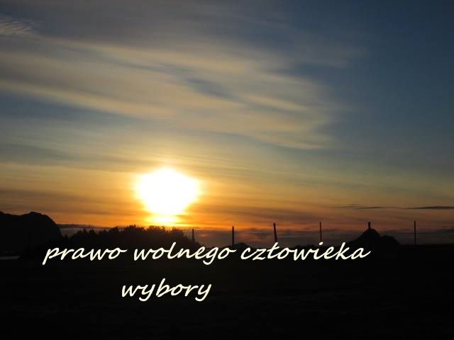 Dlaczego Frekwencja Wyborcza W Polsce Jest Niska