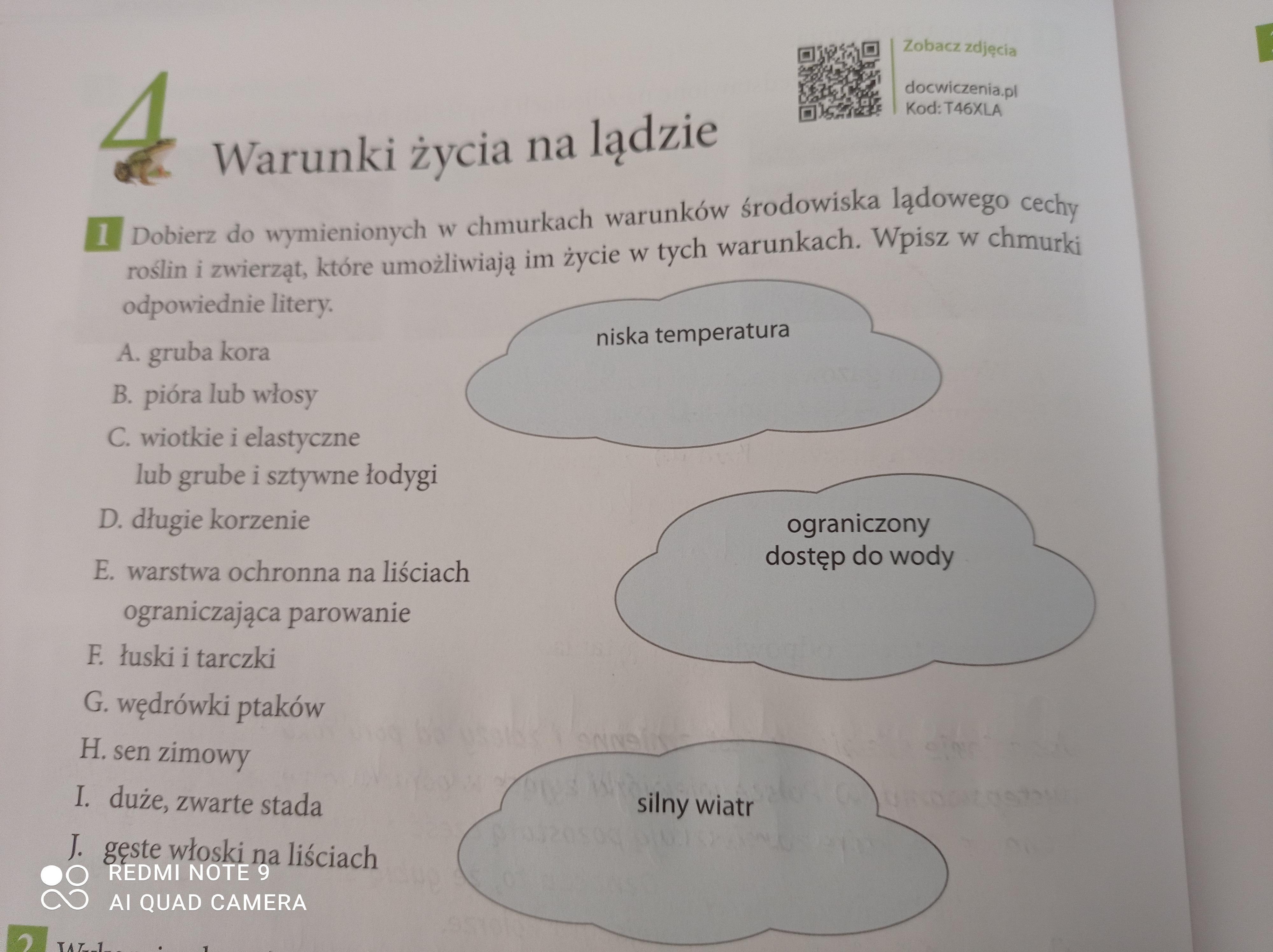 Dobierz do wymienionych w chmurkach warunków środowiska lądowego cechy W Chmurkach Wpisz Zdania Które Bóg Powierzył Aniołom Stróżom