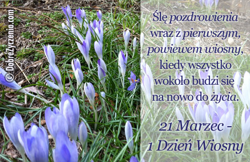 Pierwszy Dzień Wiosny śmieszne Obrazki