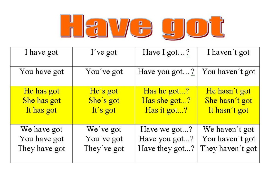Have Got Has Got Exercises
