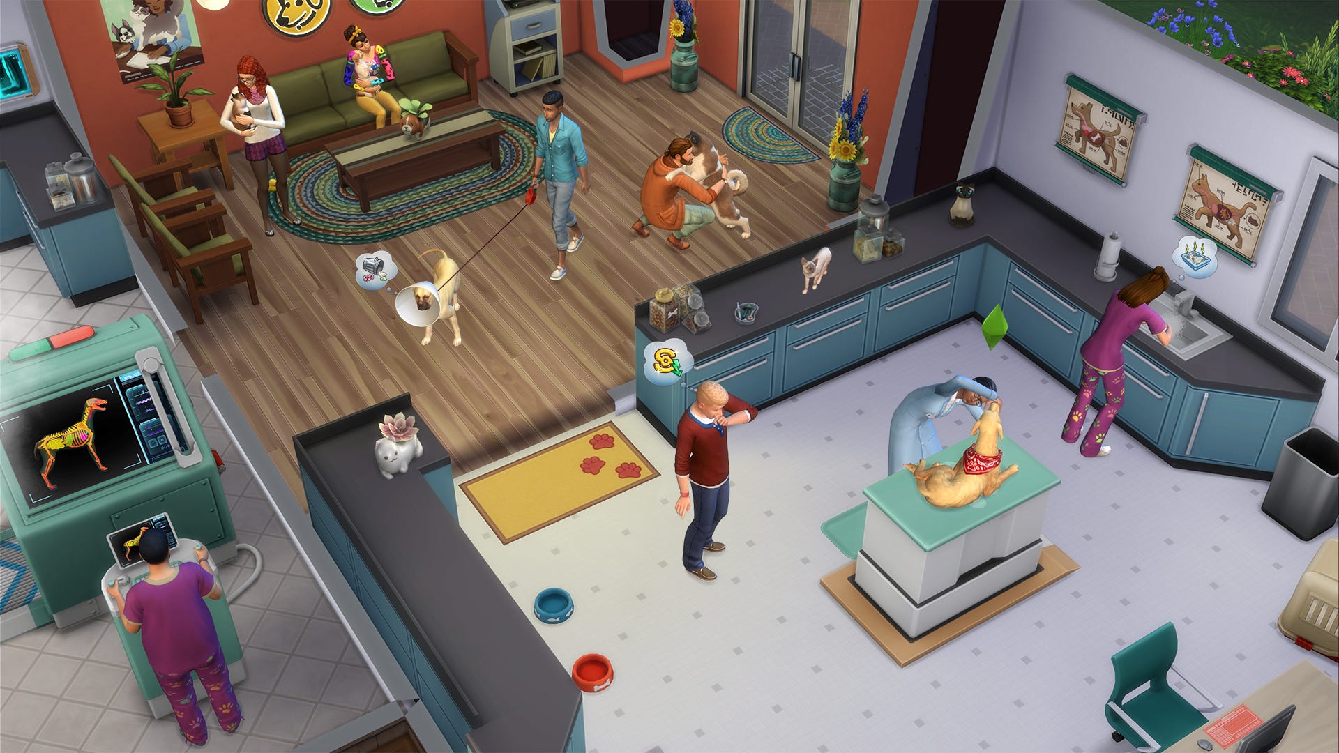 The Sims 4 Jak Kupic Zwierzaka