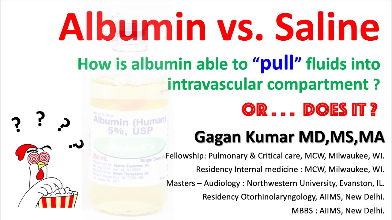 Does IV Albumin Really 'Pulls' Fluid ? - YouTube Stosunek Albumin Do Globulin U Psa