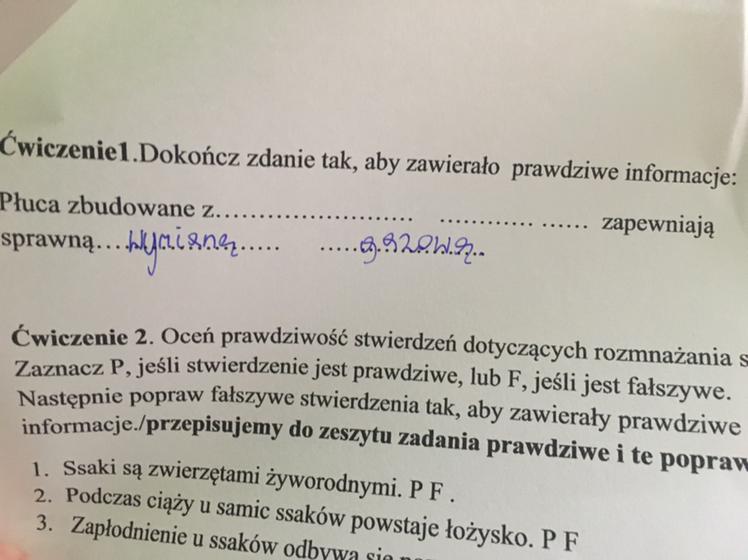 Dokończ zdanie tak, aby zawierało prawdziwe informacje. - Brainly.pl Dokończ Zdanie Tak Aby Otrzymać Zdanie Prawdziwe