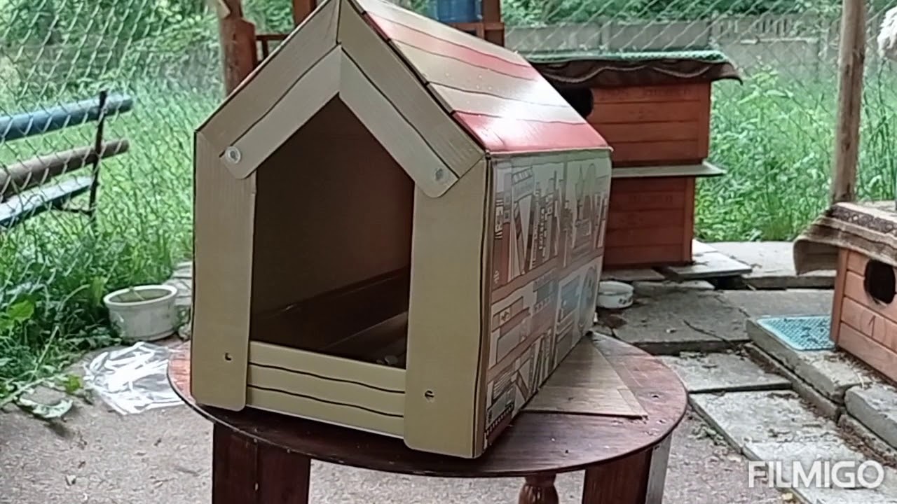 DOMEK z KARTONU - mniejszy L=50 cm za 24,80 zł w ZOOPLUSIE : 5.06.2020 Domek Z Kartonu Dla Kota Youtube