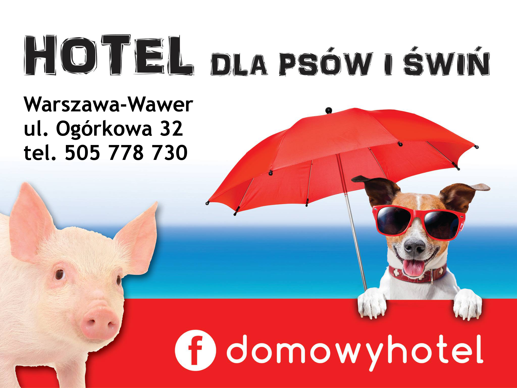DOMOWY HOTEL DLA PSÓW I ŚWIŃ Hotel Dla Psów Piotrków Trybunalski