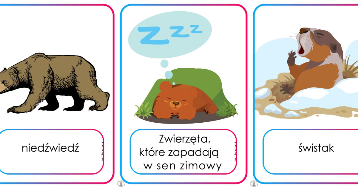Przygotowania Zwierzat Do Zimy Karty Pracy
