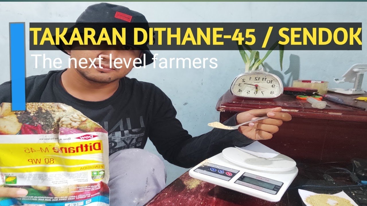 Dithane M 45 Mancozeb 80 Fungicide
