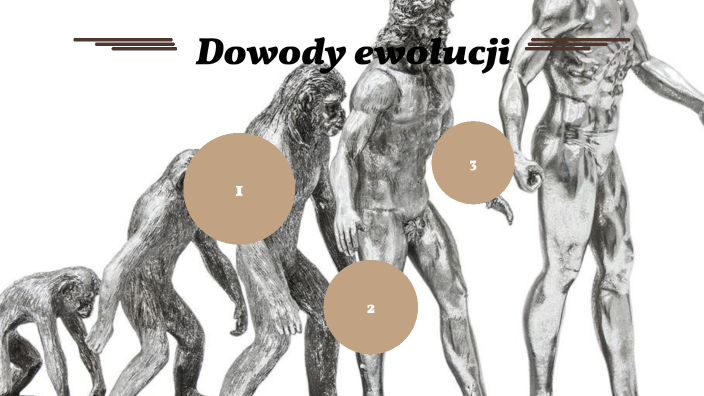 Dowody ewolucji by Ola Kołosowska on Prezi Zaznacz Punkt W Ktorym Podano Tylko Bezposrednie Dowody Ewolucji