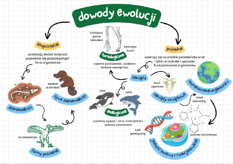Dowody Ewolucji Plakat | PDF Dowody Bezpośrednie I Pośrednie Ewolucji