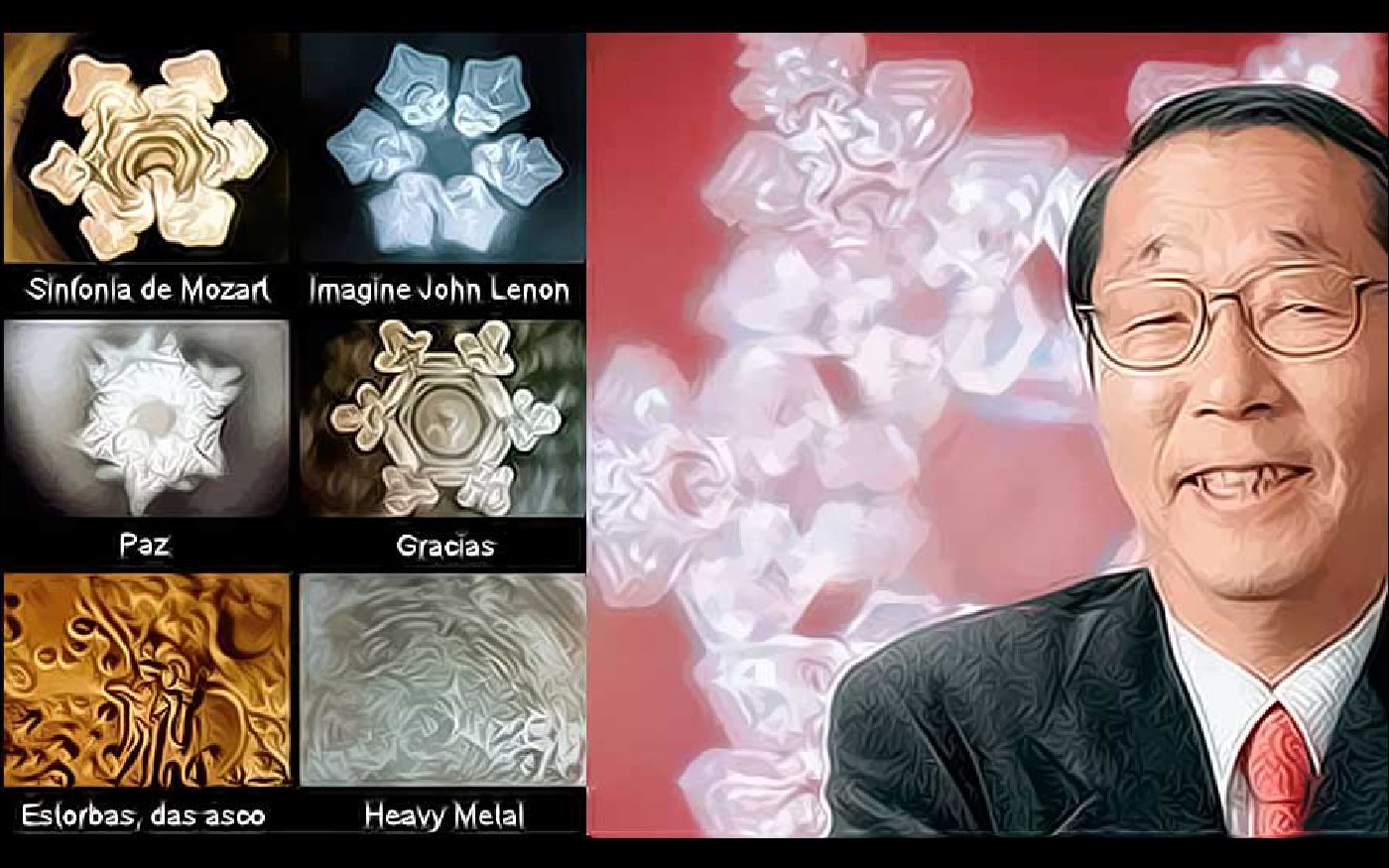 Dr. Masaru Emoto Doświadczenie Z Ryżem Masaru Emoto