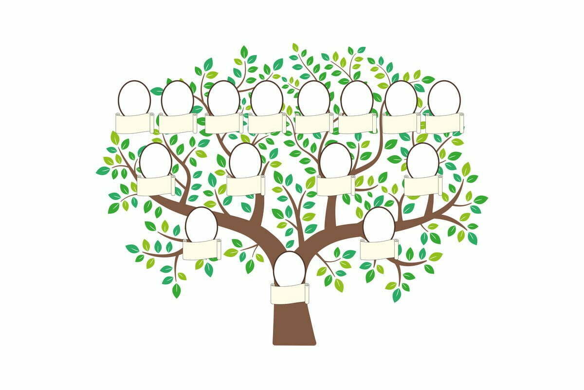Drzewo genealogiczne: szablony do druku - Wikikids Drzewo Genealogiczne Do Druku A4