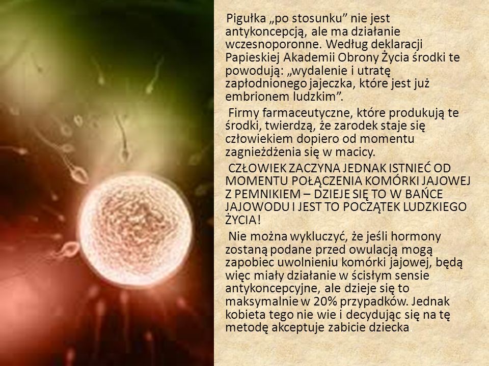 Duszpasterstwo Rodzin Diecezji Łomżyńskiej Treści dotyczące działania W Jakim Momencie Zarodek Zaczyna Nazywać Się Płodem