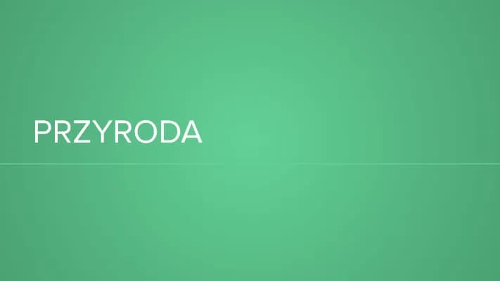 Dziady cz 4: Streszczenie, Bohaterowie i Cechy - Opracowanie dla Ucznia Streszczenie Szczegolowe Dziady Cz 4