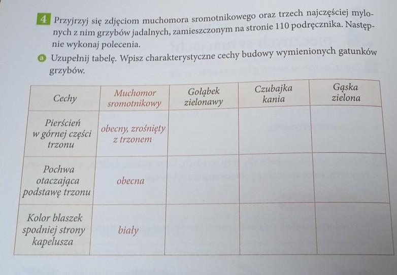 DZIAŁ 5. ODKRYWAMY TAJEMNICE ZDROWIA4 Przyjrzyj się zdjęciom muchomora Odkrywamy Tajemnice Zdrowia Sprawdzian Z Przyrody Klasa 4