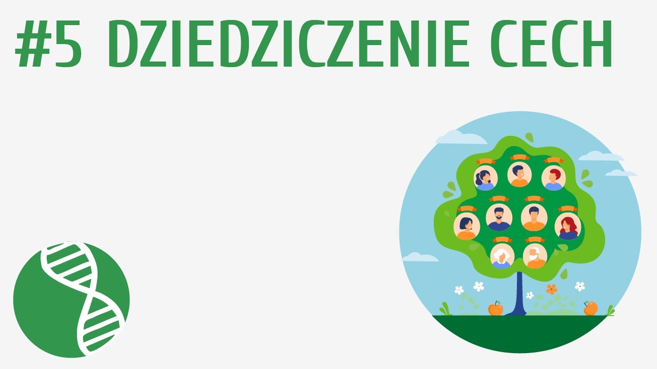 Krzyżówki Genetyczne Zadania Klasa 8 Pdf