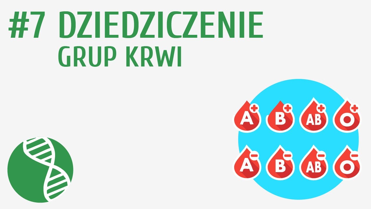 Dziedziczenie grup krwi #7 [ Genetyka ] - YouTube Sprawdzian Genetyka Klasa 8 Pdf
