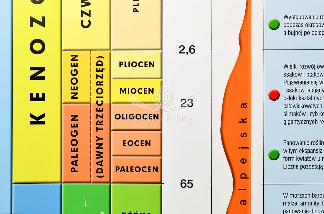DZIEJE ZIEMI PLANSZA EDUKACYJNA DWUSTRONNA Dzieje Ziemi Najważniejsze Wydarzenia Geologiczne