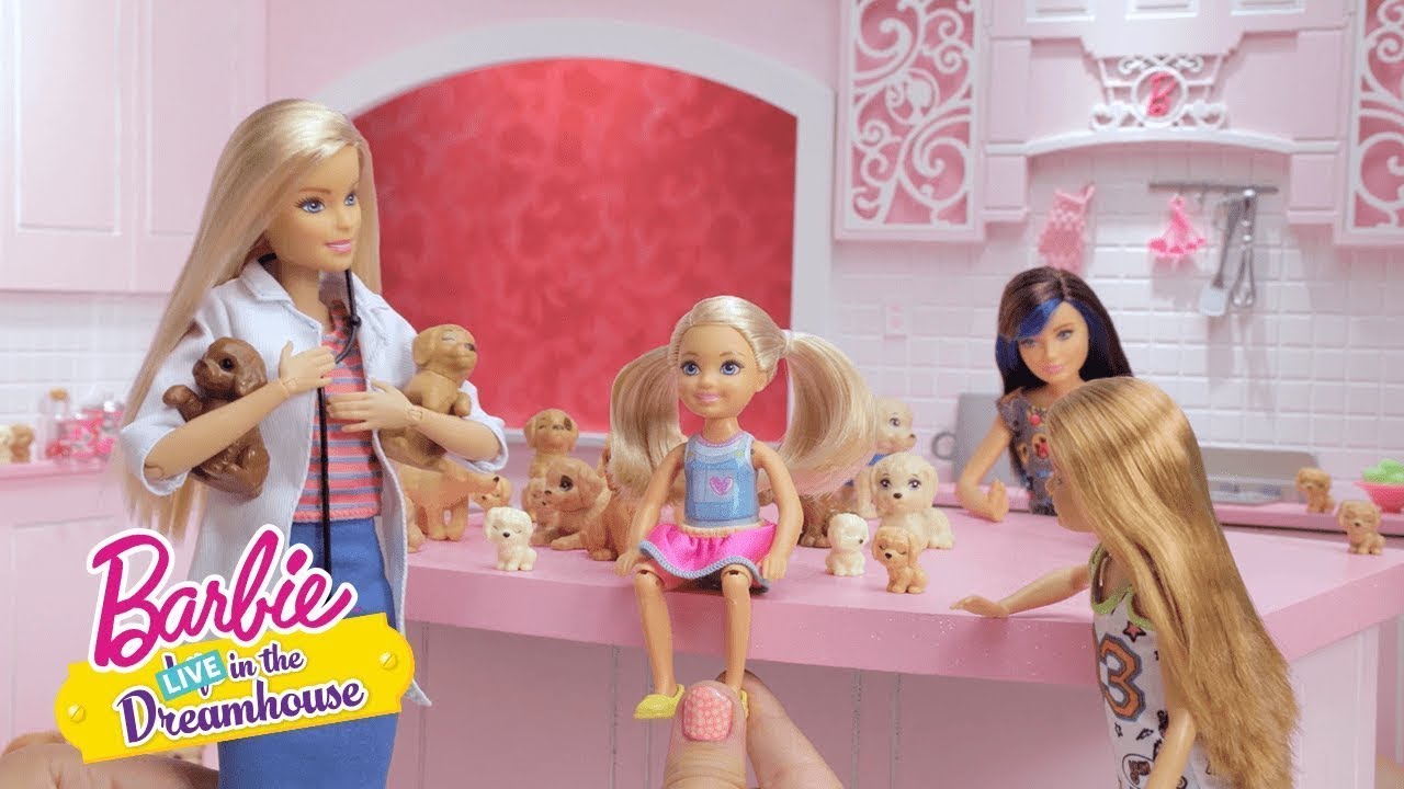 Barbie Life In The Dreamhouse Po Polsku