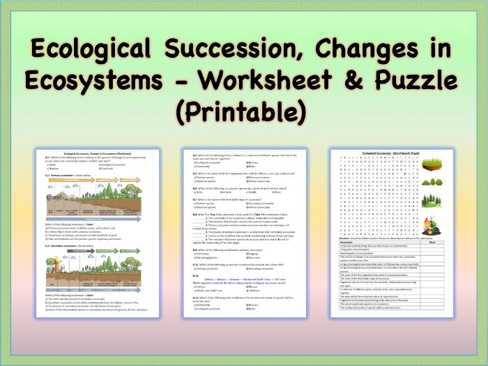 Ecological Succession Worksheet 50 Ecological Succession Wor Overshooting Ecological Resources Worksheet Answer Key