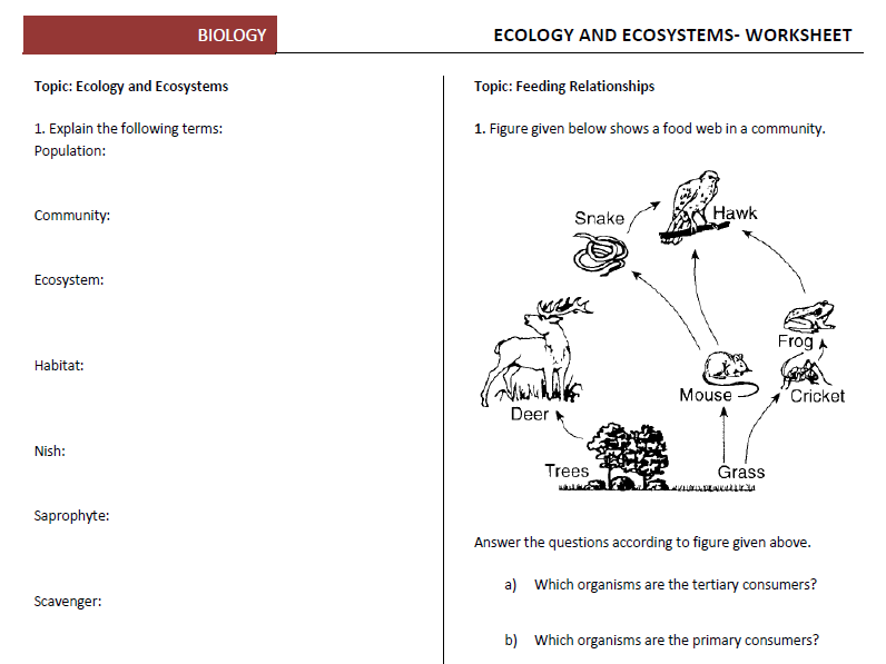 Overshooting Ecological Resources Worksheet Answer Key